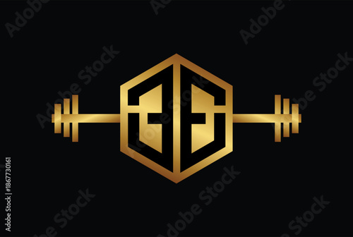 33 or EE Hexagon shape logo vector illustration icon.