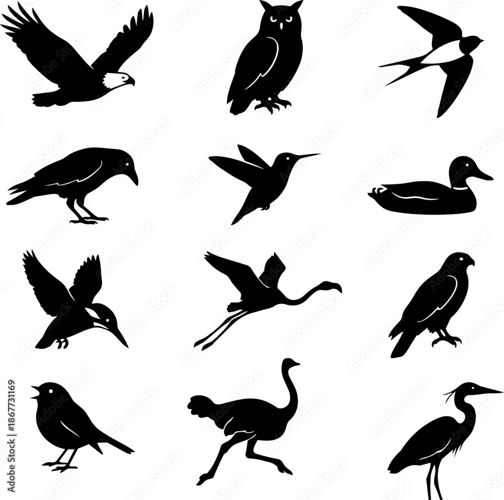 Fototapeta premium Diverse collection of twelve black and white bird silhouettes showcasing various species in flight and standing poses for graphic design use.