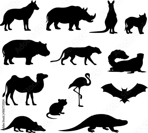 Collection of diverse black silhouette illustrations featuring various wild animals like mammals, birds, and reptiles isolated on white