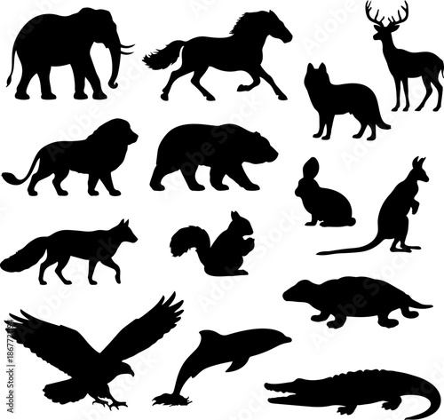 A diverse collection of detailed black silhouettes representing various majestic wild animals from different continents and habitats.