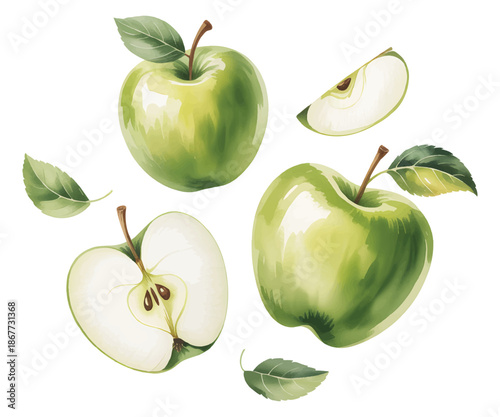 Fresh green apples with sliced details in natural watercolor art.