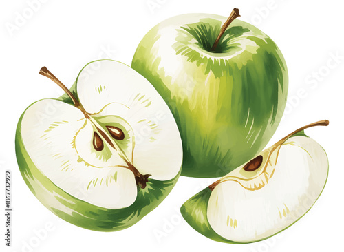 Botanical green apple fruit set with traditional hand watercolor. Natural green apple set with whole and sliced fruit.
 
