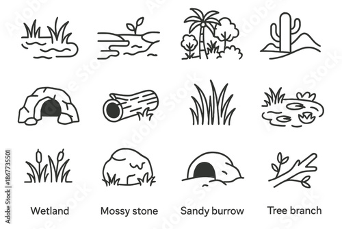 Reptile Habitat Icons. Line style icons of reptile habitats: swamp, riverbank, rainforest, desert dune; rocky cave, hollow log,
