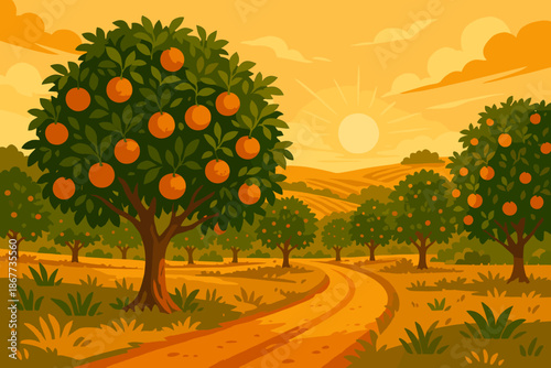 Golden Orange Grove. Scenic orange grove illuminated by warm golden sunlight, vibrant natural tones and textures, ideal vector
