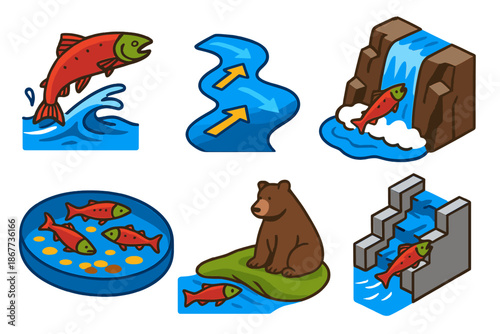 Freshwater Salmon Migration. Isometric vector illustration set Freshwater Migration: salmon jumping upstream, river current arrows