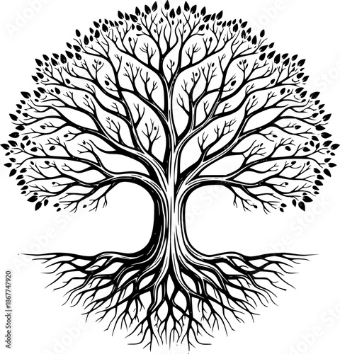 Black and white tree with branches and roots in detailed vector illustration. Vector illustration
