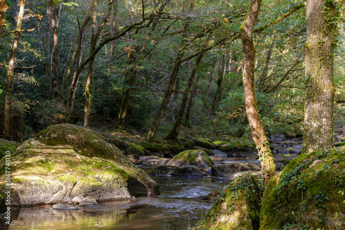 The River Sedelle flowing through a wooded landscape in the Indre department of France, with clear water, moss-covered rocks, and deciduous trees in a peaceful natural setting.