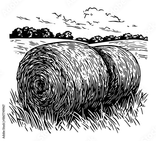 Rural landscape illustration with round hay bales in a field drawn in a vintage engraving style