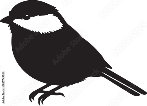 Chickadee Silhouette on White Background