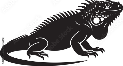 Iguana Silhouette on White Background