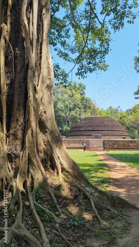 Pidurangala Rock historic Stupa, Sri Lanka.