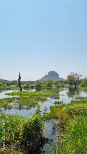 Iconic Sigiriya Rock surrounded by lush greenery. Sri Lanka.