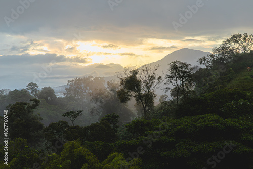 Wallpaper Mural Morning, mountain landscape from rural town of Tamesis Antioquia Colombia Torontodigital.ca
