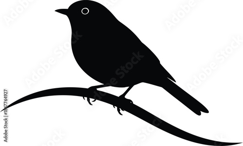 A black bird perched on a branch in profile view with white background