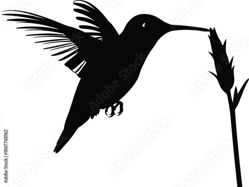 Hummingbird in flight sipping nectar from a flower