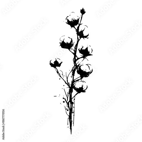 Delicate cotton plant branch silhouette in artistic black and white ink style