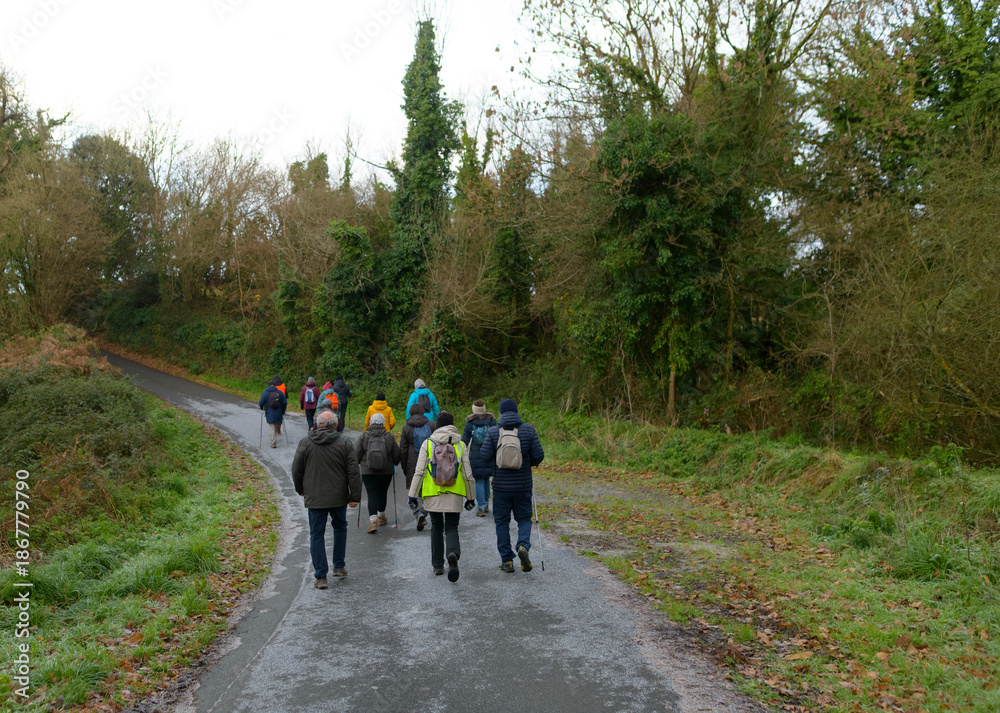 Fototapeta premium Groupe de randonneurs seniors en Bretagne