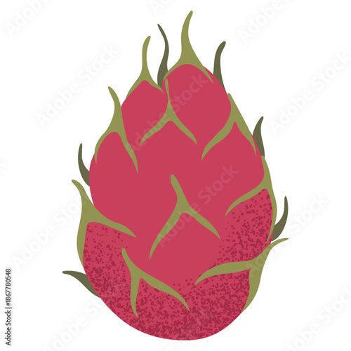 Simple dragon fruit illustration. Fresh pitaya fruit. Healthy food concept. Minimal flat vector design for interior, poster, cover, banner. Isolated on white background.
