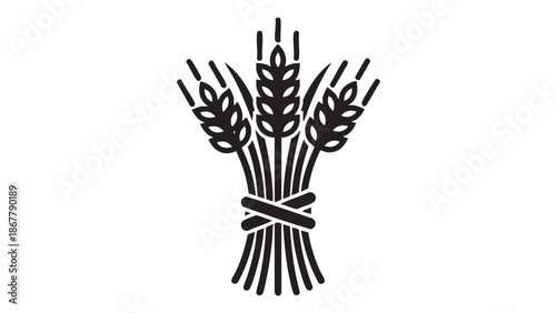 A tied bunch of wheat stalks with grain heads, symbolizing harvest and agriculture, viewed from the front