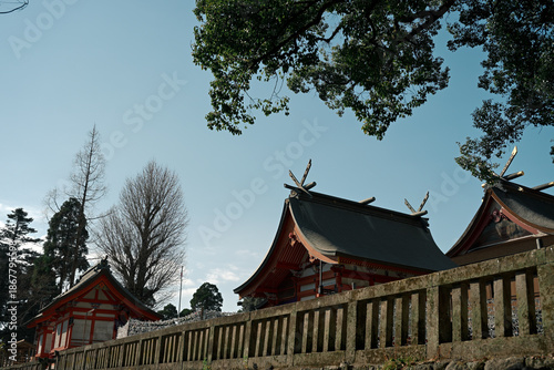 鹿児島神宮の神社の風景
