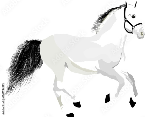 Stylized illustration of a graceful white horse in motion, with textured mane and tail, clean minimalist lines, and soft shadows on a bright background — perfect for posters, prints, and modern design