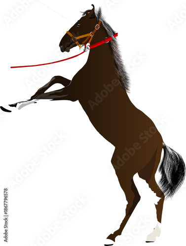Detailed illustration of a strong brown horse rearing on two legs, with flowing mane and tail, red reins and bridle, clean minimalist style — great for posters, prints, children’s books