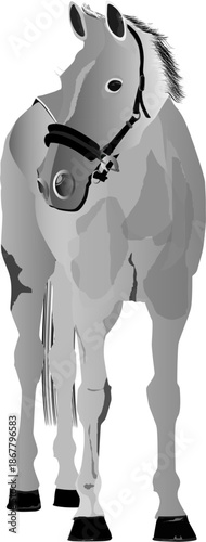 Stylized illustration of a graceful white horse in motion, with textured mane and tail, clean minimalist lines, and soft shadows on a bright background — perfect for posters, prints, and modern design