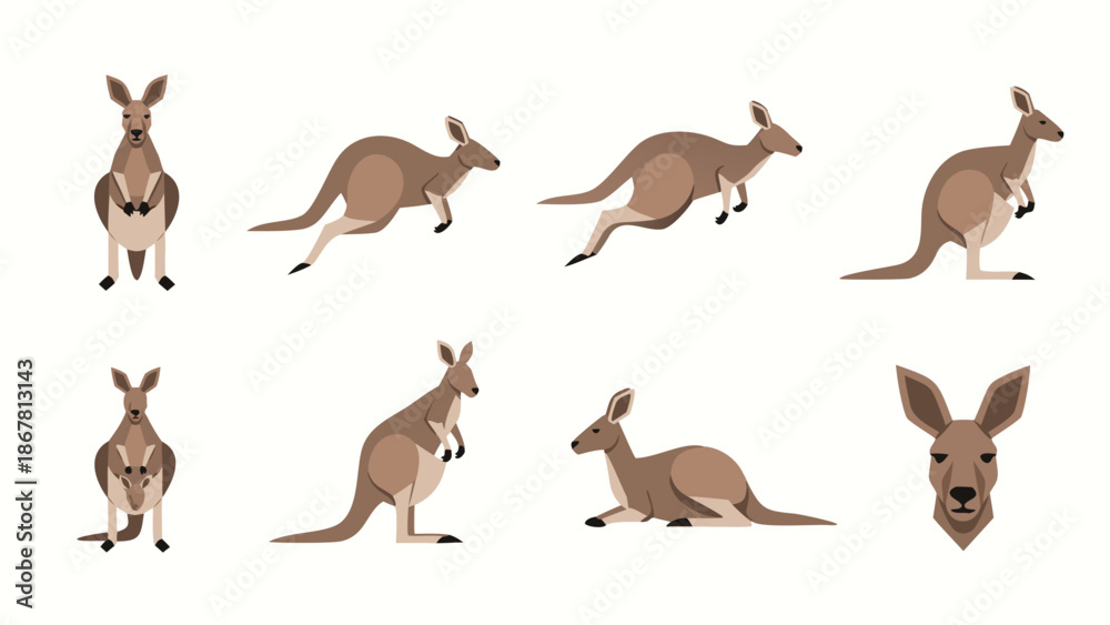 Obraz premium Collection of stylized kangaroos in various poses and actions on a white background