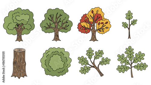 Collection of stylized trees and oak leaves in a simple cartoon drawing style