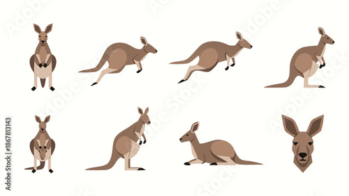 Collection of stylized kangaroos in various poses and actions on a white background