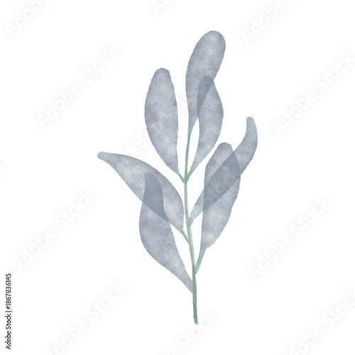 Watercolor Blue Leaf Branch Illustration