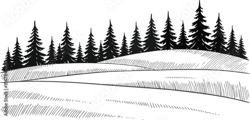 Hand-drawn landscape scene with evergreen forest and rolling hills, perfect for nature backgrounds.