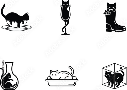 black and white cats in various objects