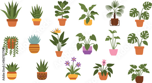 Indoor potted plant collection, botanical diversity, succulent and leafy greenery, decorative pots, home garden illustration, cartoon vector design