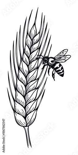 A graphic illustration of a busy honeybee pollinating a ripe wheat stalk, ideal for agricultural blogs, organic food packaging, and nature conservation campaigns promoting ecological