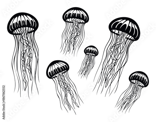 Graphic black and white jellyfish swimming gracefully in an oceanic environment, perfect for prints, fabric, decor, and aquatic themed branding projects.