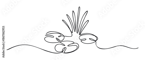Continuous line drawing of aquatic plants like lily pads and reeds representing natural growth and serenity, perfect for minimalist nature themed projects