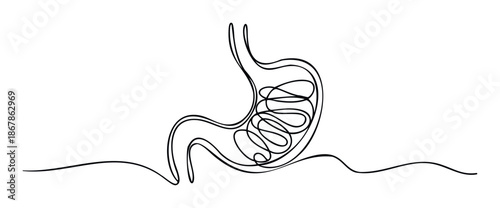 Continuous single line drawing of human stomach representing digestive system health and anatomy for medical education, wellness blogs, healthcare presentations, or biological science