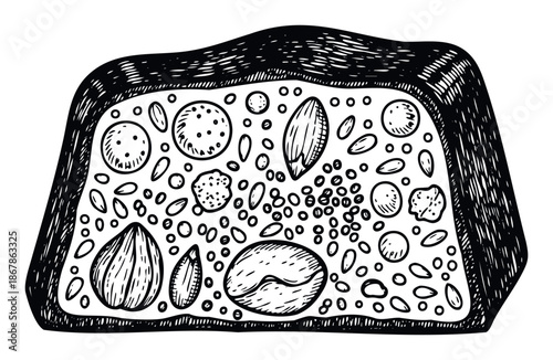 Delicious traditional holiday nougat or fruitcake slice rich with assorted nuts and dried fruits hand drawn for food blogs bakery menus and festive recipe collections
