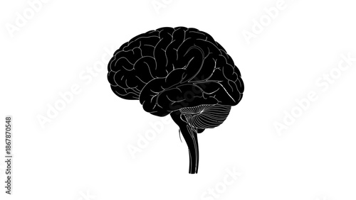 Black Human Brain Illustration on White Background, Minimalist Neurology Vector Art for Medical Research, Psychology, Science, Mental Health and Cognitive Study.
