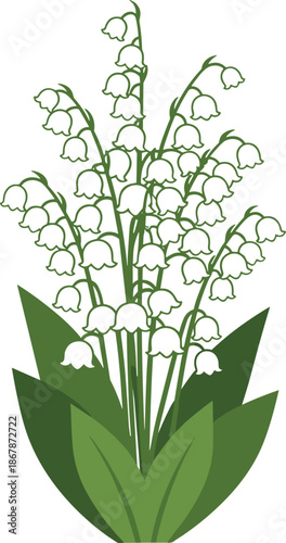 Lily of the valley white bell flowers vector illustration with green leaves for spring botanical, wedding, floral design projects art
