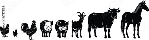 Farm animal silhouettes lineup with chicken rooster pigs goat cow horse black vector illustration isolated on white background