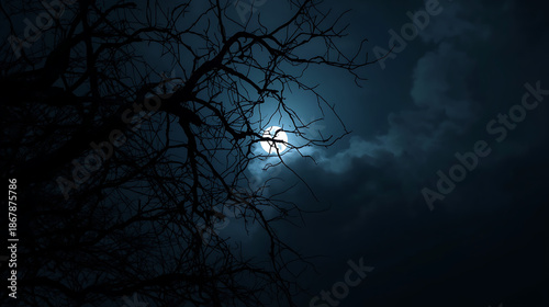 A dark, cinematic night scene features a full moon behind drifting clouds, with twisted, leafless tree branches in sharp silhouette. The deep blue sky, misty fog, and soft moonlight rays create an eer