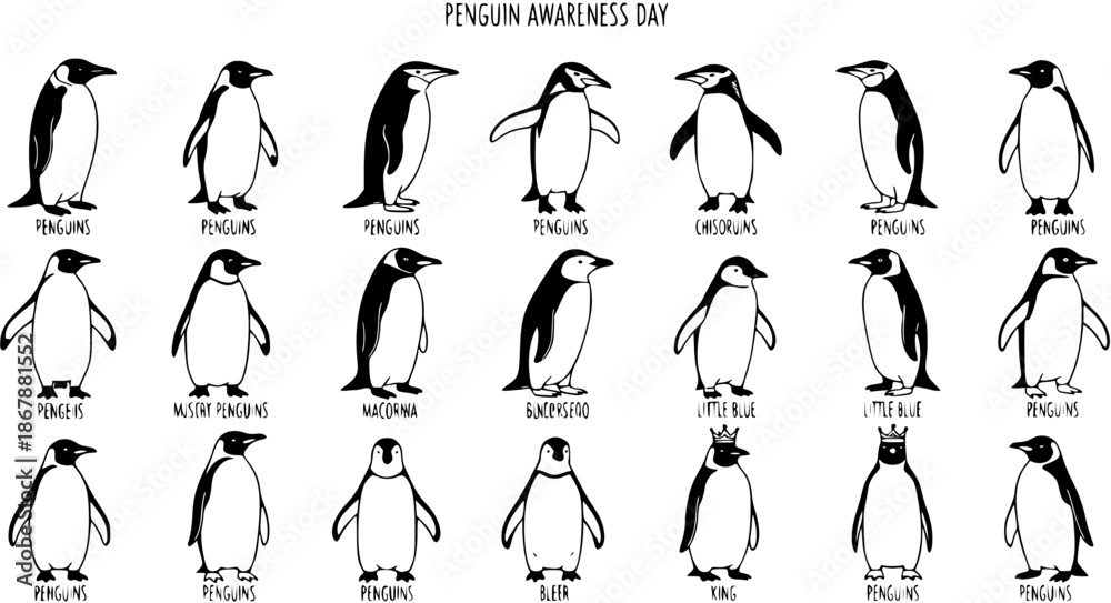 Naklejka premium Black and White Hand-Drawn Line Art Illustration of Various Penguin Species for Wildlife Education and Awareness Day. Cartoon Outline Set of Different Types of Antarctic and Subantarctic Birds.