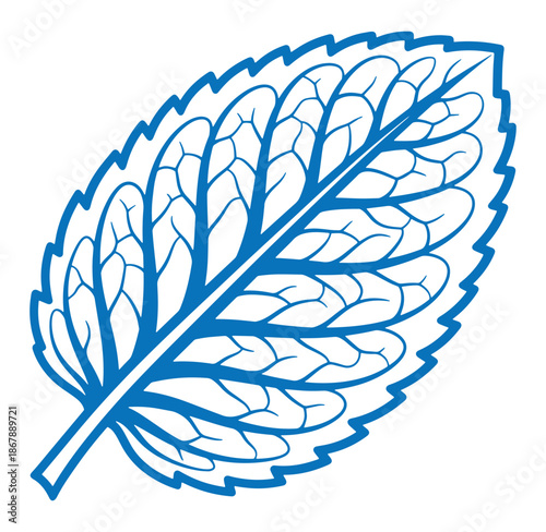 Detailed blue outline illustration of a single leaf depicting intricate veins on a white background.