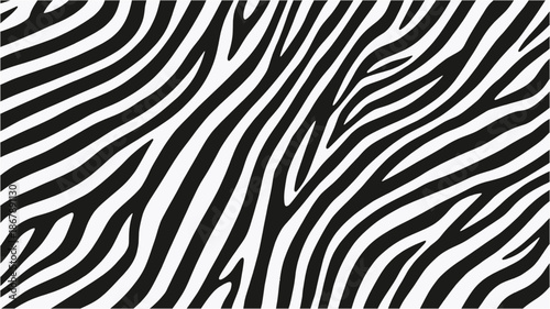 Close-up view of a classic black and white zebra stripe pattern, showcasing natural animal print texture.