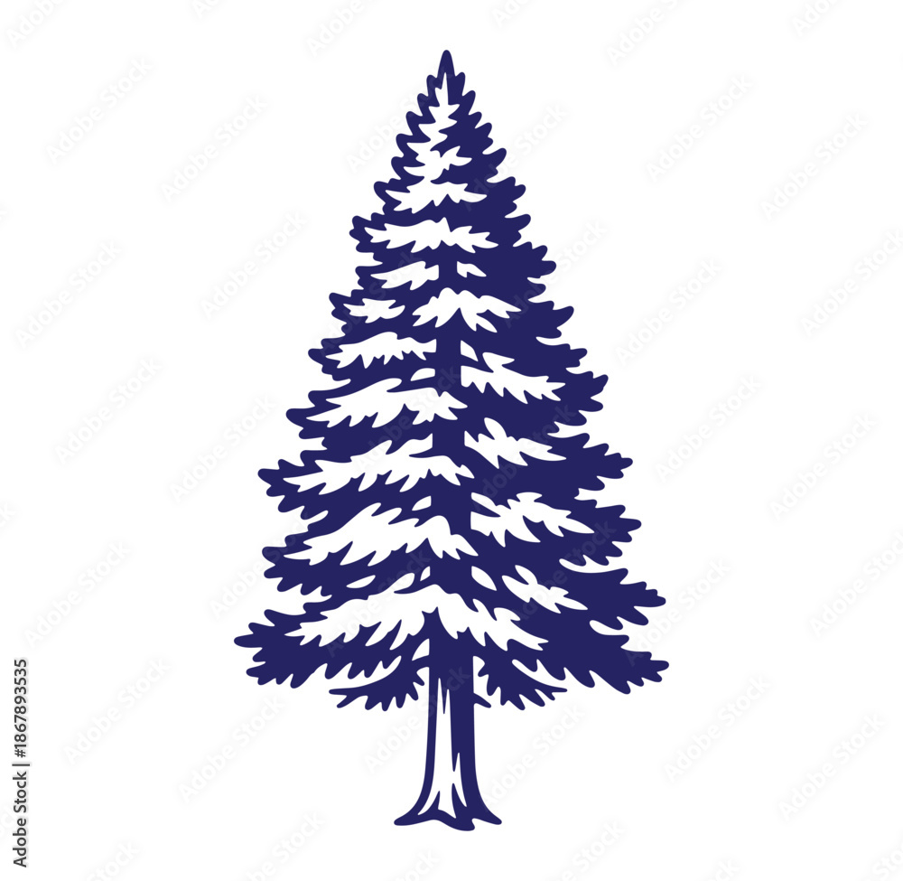 Fototapeta premium Vector illustration of a simple detailed fir tree isolated on white background