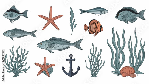 Collection of Marine Life and Nautical Elements.