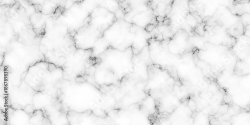 white and black background rock closeup limestone marble glossy wall, floor tiles slab natural surface limestone marble texture. granite luxury stone smooth polish rough texture.