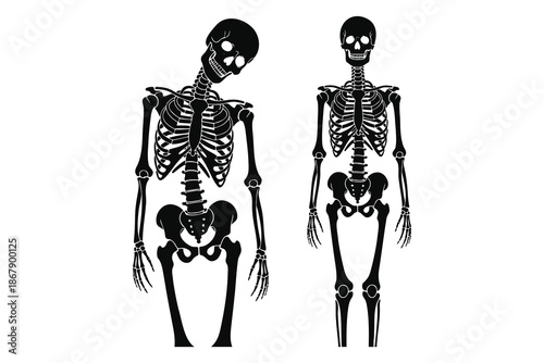 two black silhouette skeletons standing side by side on white background